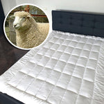 PROTECTIE DE PAT 100% NATURAL, UMPLUTURA DE LANA - CovorulPerfect